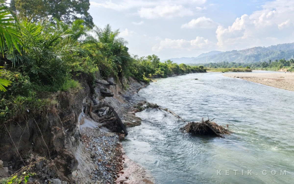 Thumbnail Berita - Erosi Krueng Babahrot Kian Ganas, Ratusan Hektare Kebun Warga Terancam Jadi Sungai