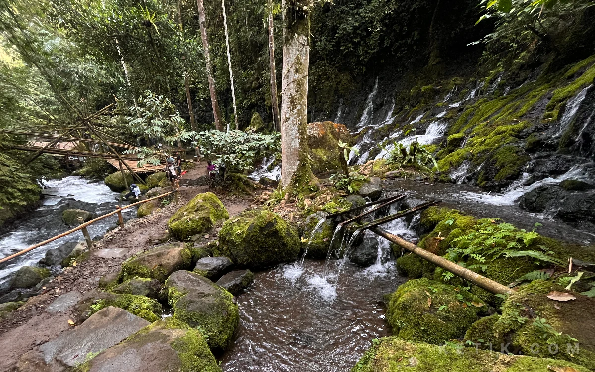 Thumbnail Berita - Cuma Rp10 Ribu, Coban Sumber Telu Lumajang Tawarkan Sensasi Air Terjun Terapi dan Bonus View Kapas Biru
