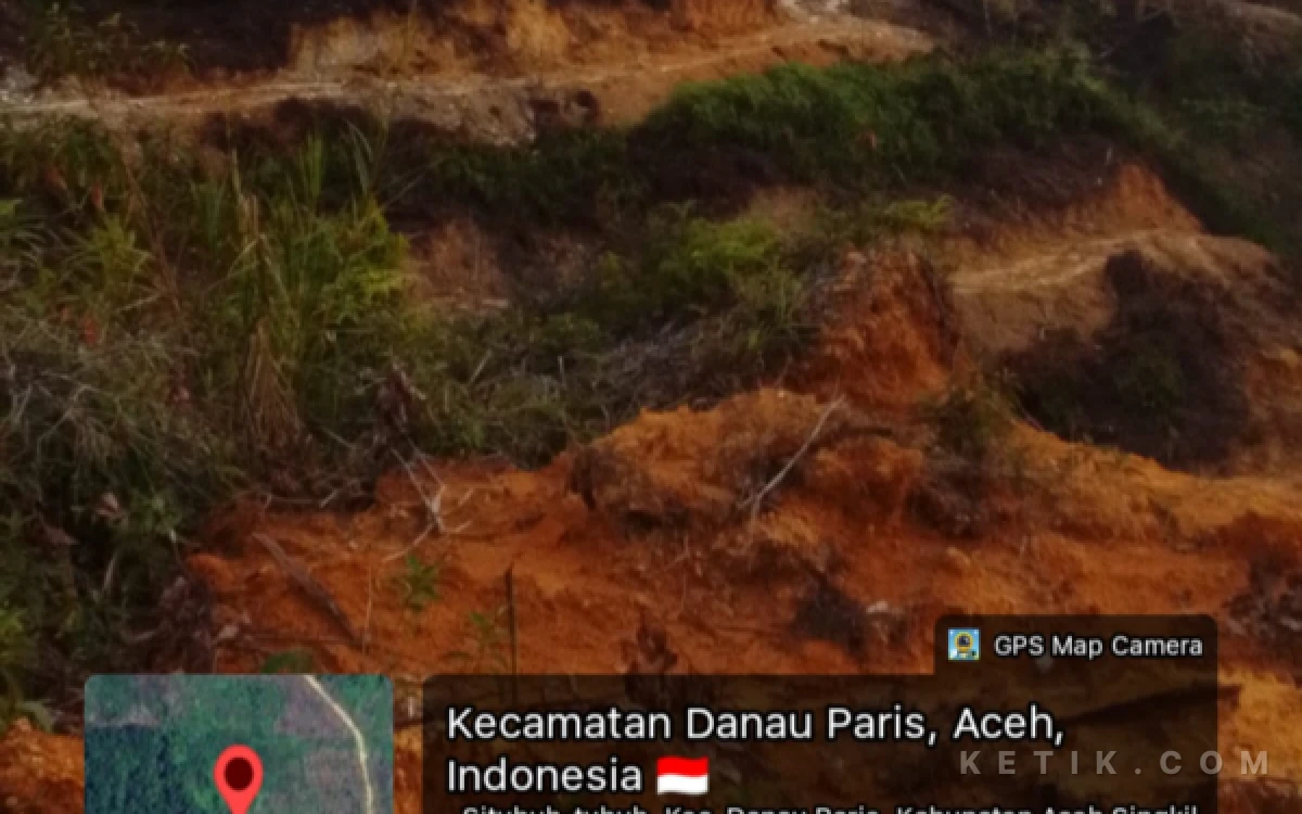 Thumbnail Berita - CPN Desak Presiden RI Perintahkan Kapolri Tangkap Perambahan Hutan Produksi di Danau Paris Aceh Singkil
