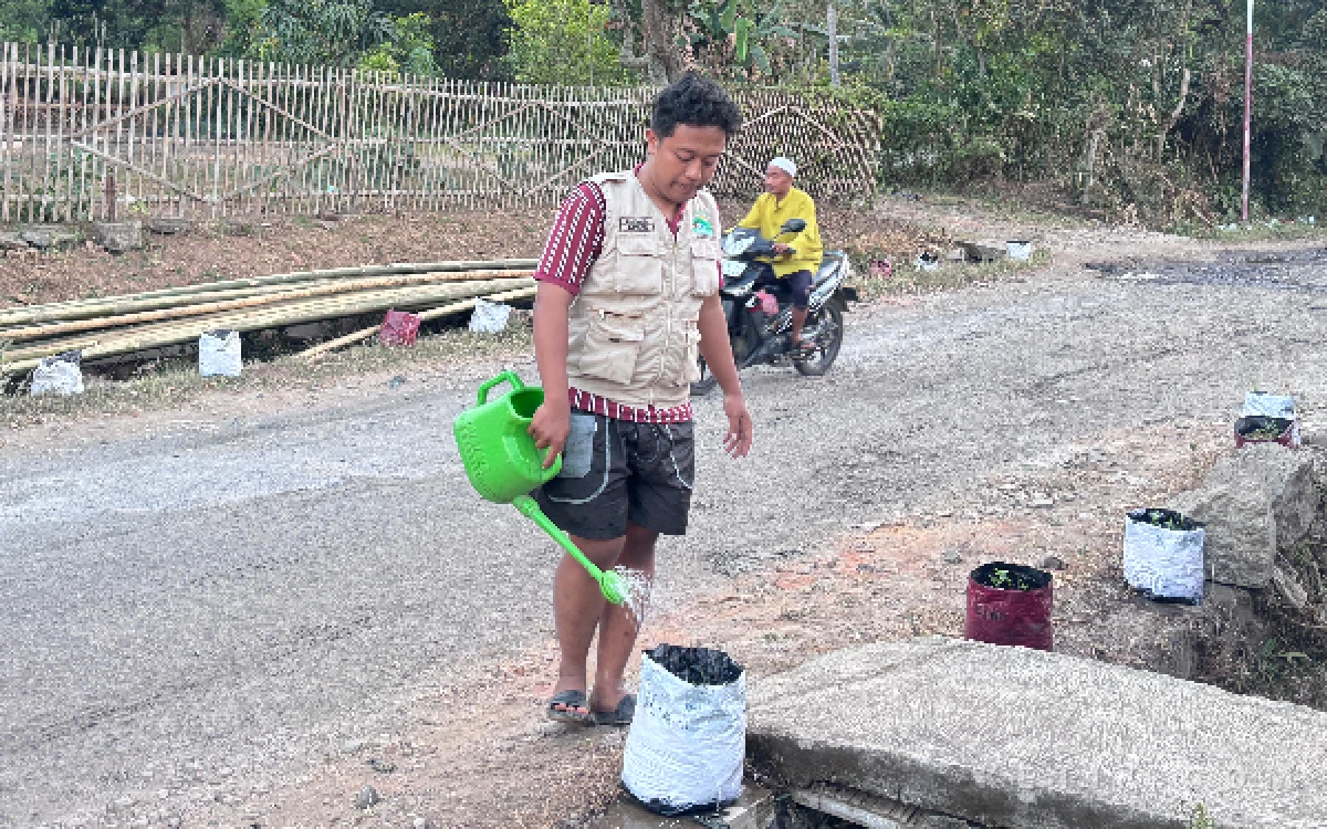 Thumbnail Berita - Mahasiswa KKN UINSA Kelompok 192 Kembangkan Pembibitan Cabai Putih di Kampung Oksigen Bondowoso, Dukung Ketahanan Pangan