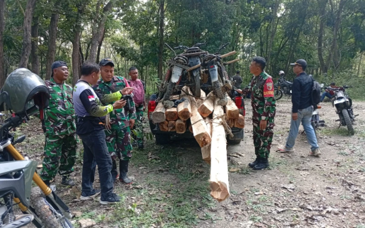 Thumbnail Berita - 5 Pelaku Illegal Logging di Hutan Jatirogo Kabur, Nekat Rampas Motor usai Lawan Petugas