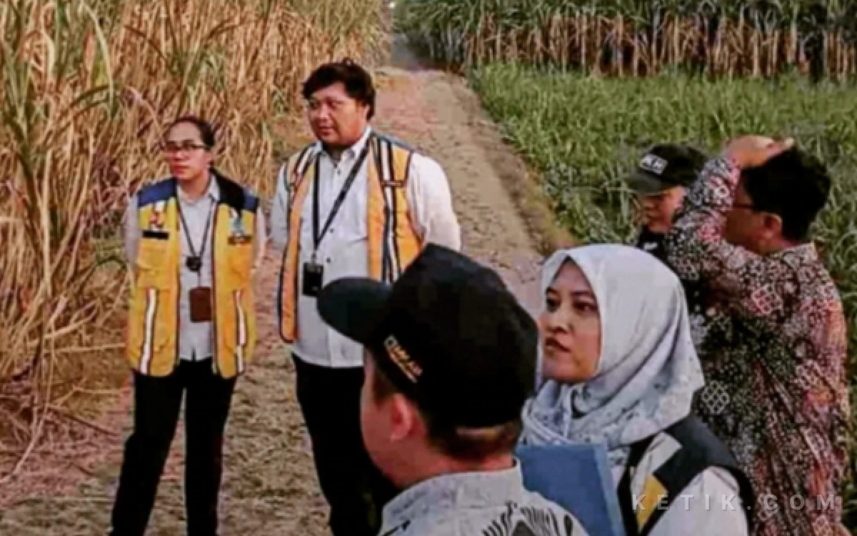 Thumbnail Berita - Lahan 5,2 Hektare Disiapkan untuk Sekolah Rakyat Tulungagung, Kementerian PU Lakukan Peninjauan