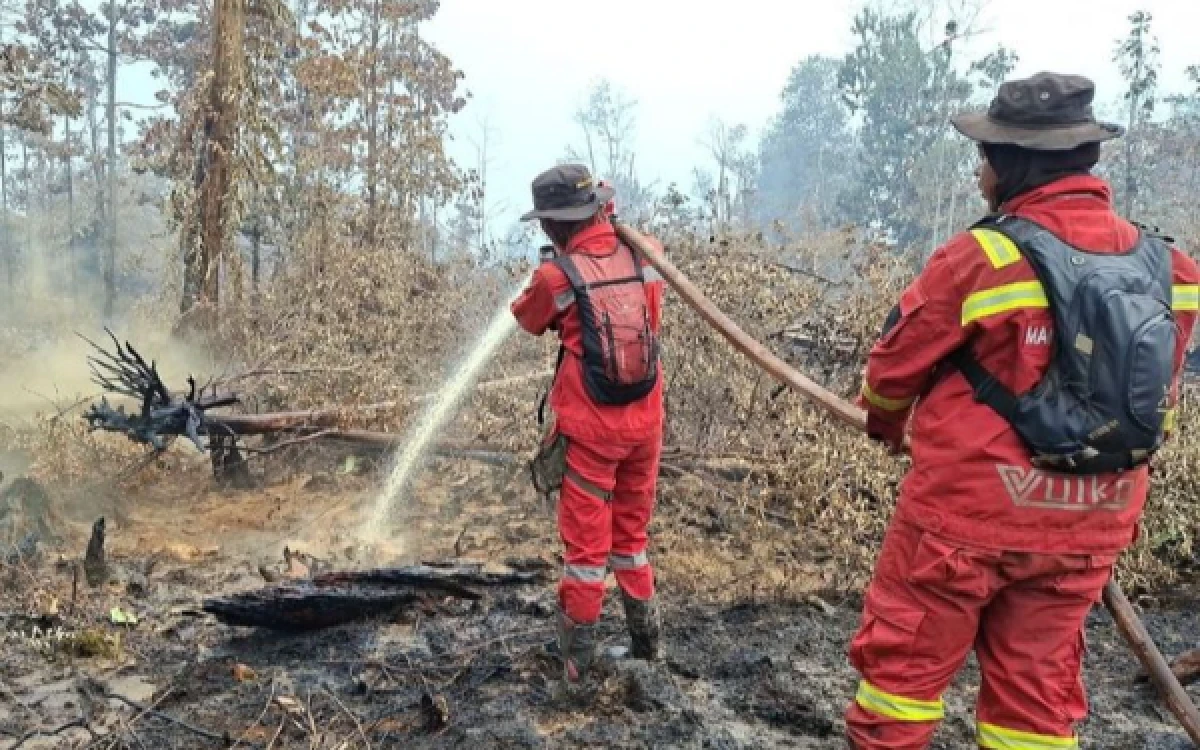 Thumbnail Berita - Jangan Cuma Hukum Pembakar, WALHI Desak Pemerintah Berani Usut Korporasi dan Kelalaian Pengawas