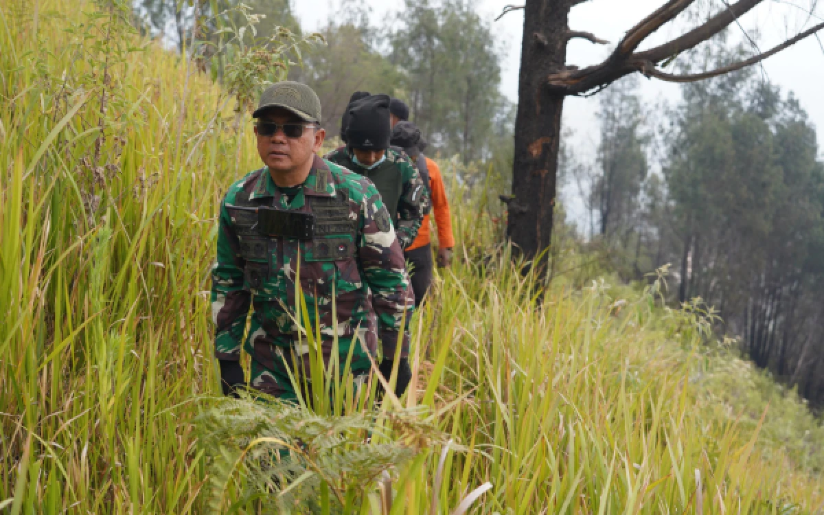 Foto Komandan Sektor Penanganan Karhutla Wilayah Korem 083/Baladhika Jaya sekaligus Komandan Korem (Danrem) 083/Baladhika Jaya, Kolonel Inf Wahyu Ramadhanus Suryawan saat terjun langsung menyisir Blok Pusung Lingker tepatnya di bawah P30 yang terletak di Desa Ngadirejo Kecamatan Sukapura Kabupaten Probolinggo, Senin, 17 Agustus 2026 (Foto : Istimewa)
