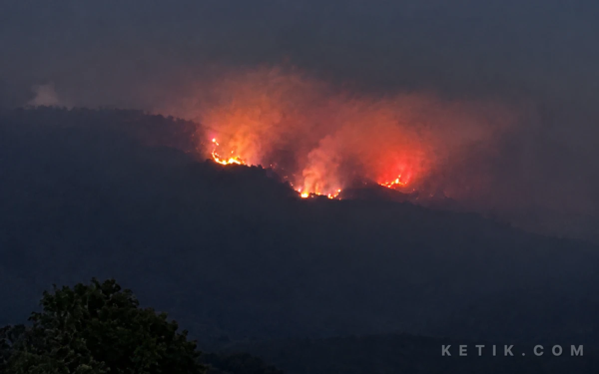 Thumbnail Berita - Kebakaran Hutan Arjuno, Warga Junggo Rasakan "Kabut Panas"