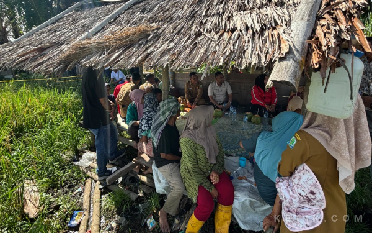 Foto Gubuk reot di tengah sawah milik petani menjadi tempat berdiskusi antara petani dan Jamaluddin Idham di Simeulue, Senin (26/10/2026). (Foto: T. Rahmat-Afdy-Helman/Ketik)