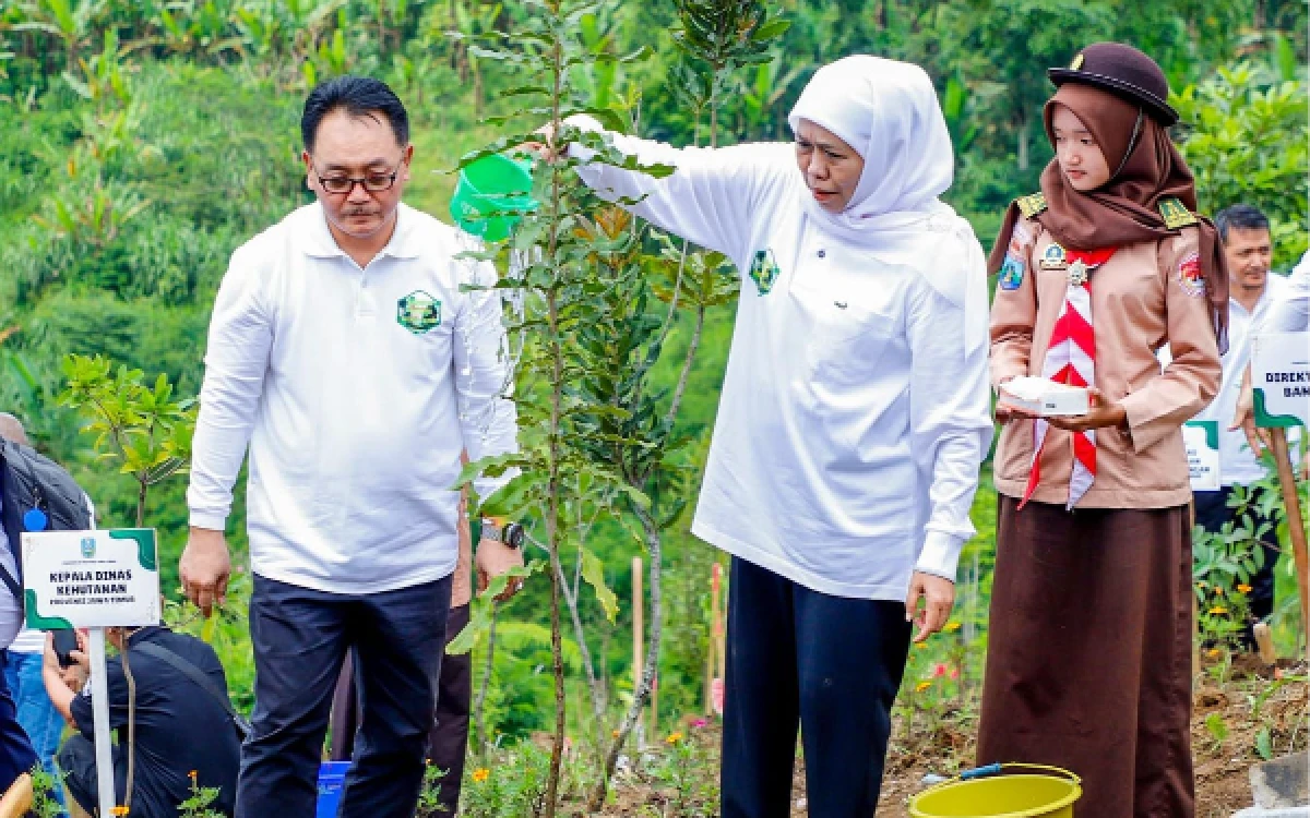 Thumbnail Berita - Nilai Transaksi Ekonomi Kelompok Tani Hutan Jatim Tembus Rp644,03 Miliar! Gubernur Khofifah: Perhutanan Sosial Jadi Penggerak Ekonomi Rakyat
