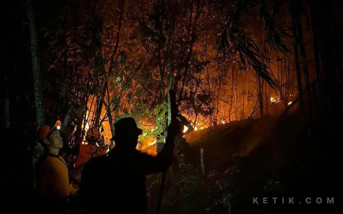 Thumbnail Berita - Kemarau Mengganas, 7 Hektar Lahan Dilalap Si Jago Merah , Tim Gabungan Berjibaku Jinakan Karhutla