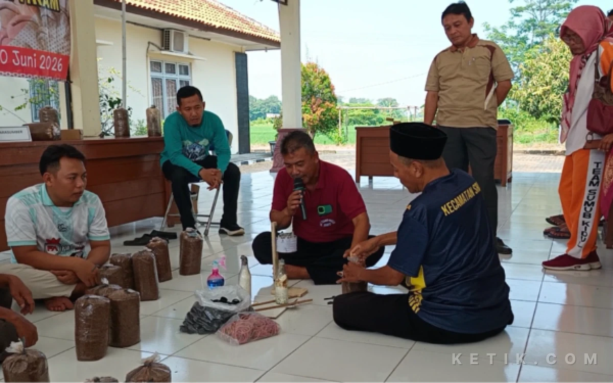 Foto Praktisi Budidaya Jamur Tiram dari Talun, Khaeruddin sedang mempraktekan langsung tentang pengolahan budidaya Jamur Tiram (Foto: Slam/ketik.com)