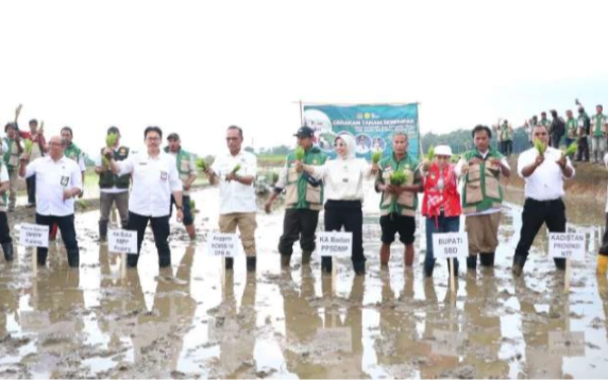 Thumbnail Berita - Mentan Libatkan KPK hingga TNI Awasi Program Bibit Rp9,95 Triliun