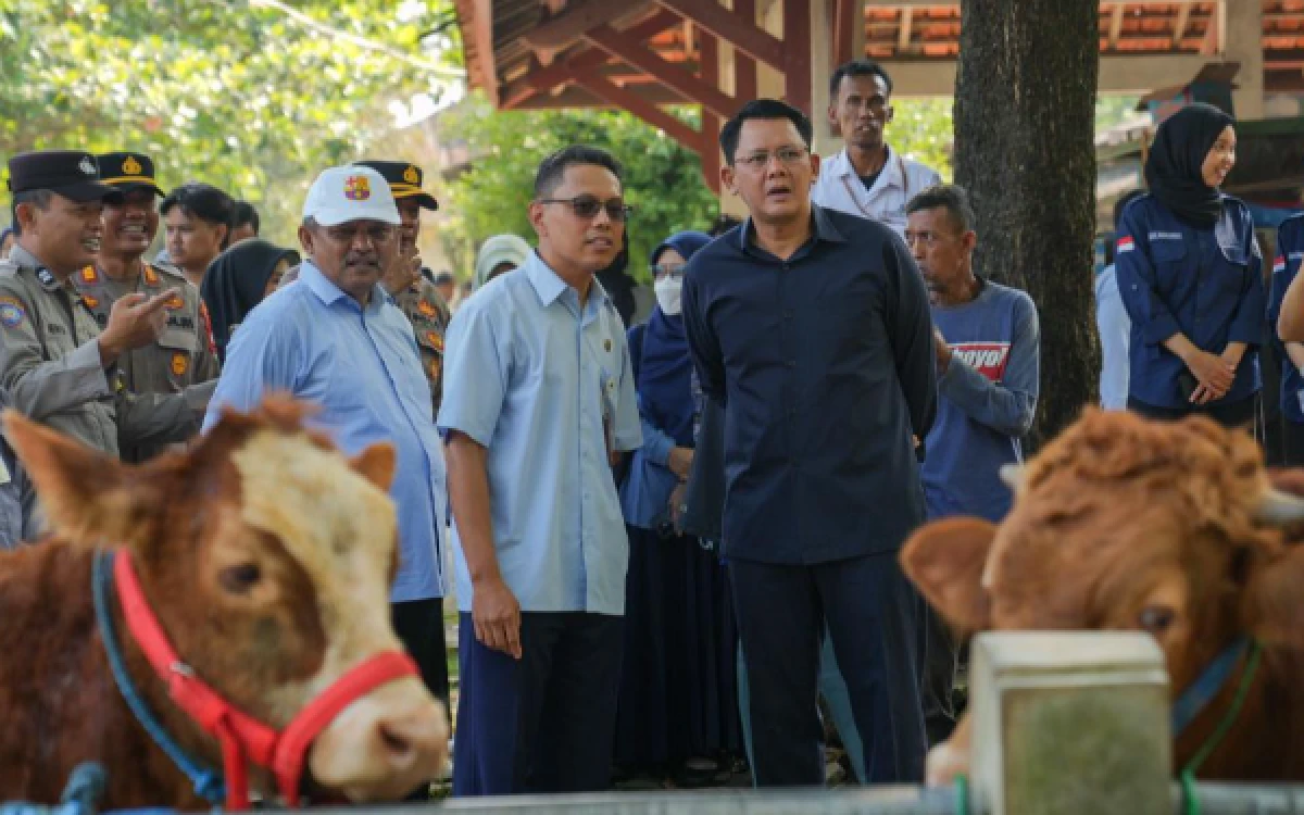 Thumbnail Berita - Tinjau ke Pasar Hewan, Bupati Sleman Pastikan Stok Hewan Kurban Aman Jelang Iduladha