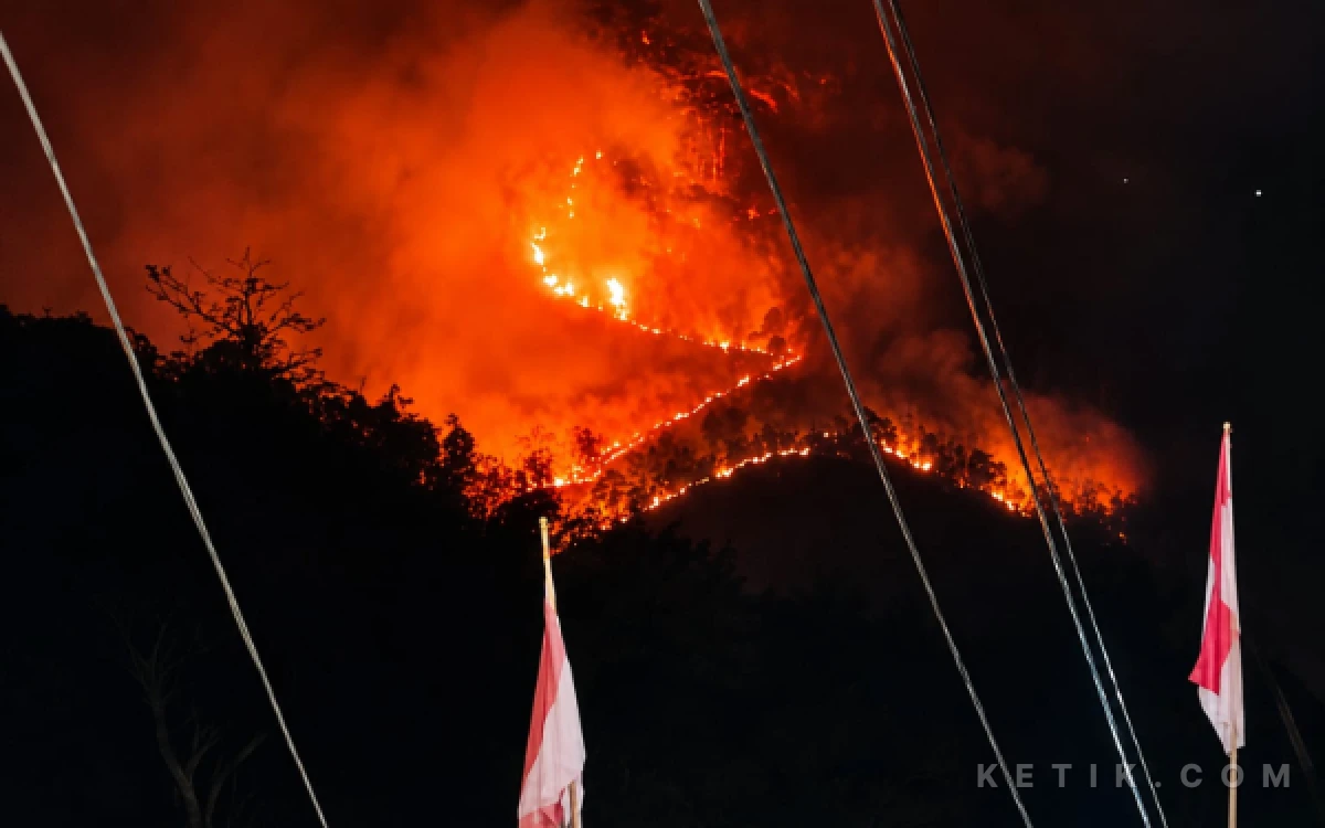 Thumbnail Berita - Api Berkobar di Gunung Nogo Pacitan, Diperkirakan Lahap 2 Hektare Lahan Warga Arjosari