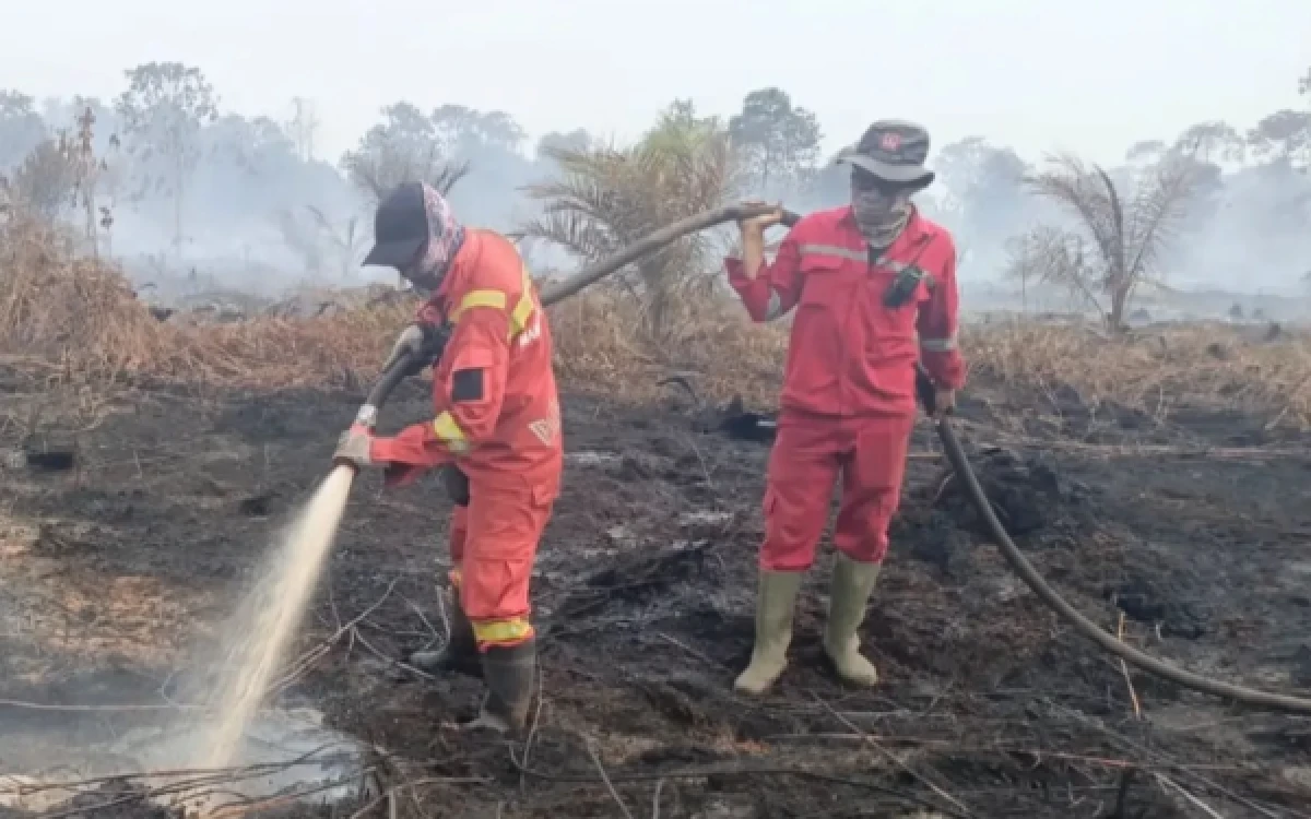 Thumbnail Berita - Terdeteksi 688 Hotspot, Penanganan Karhutla Sumatera dan Kalimantan Diperkuat