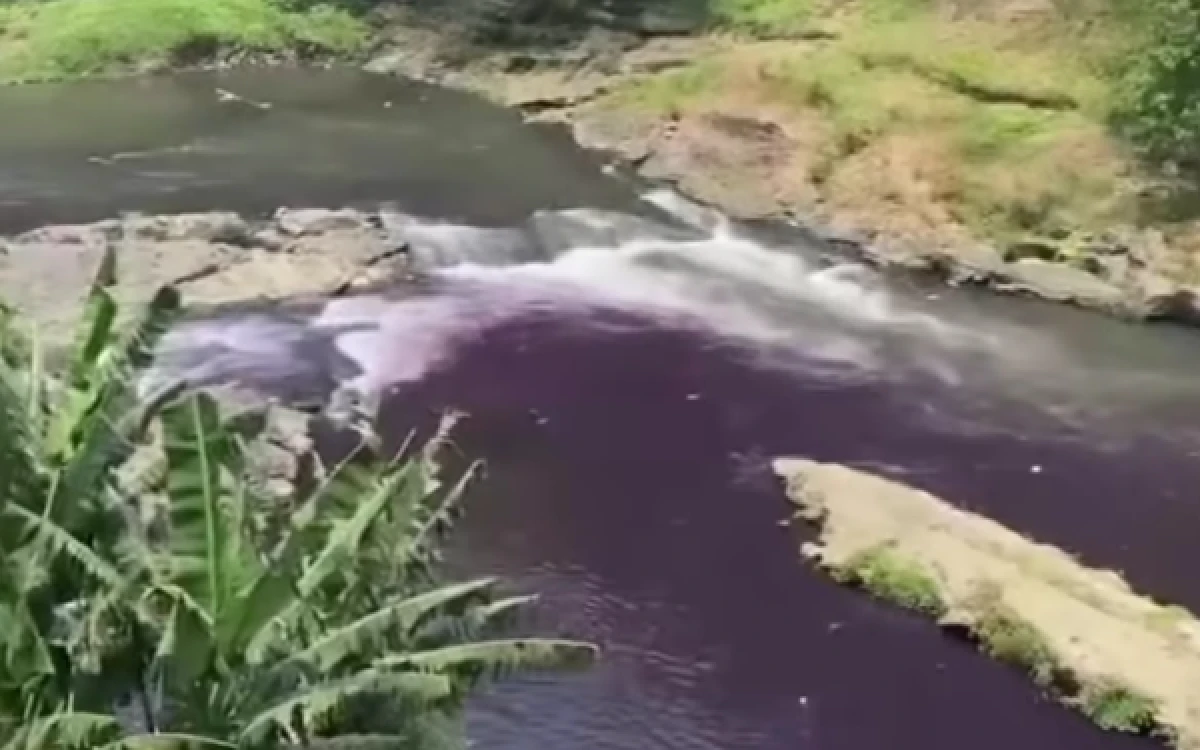 Thumbnail Berita - Hasil Uji Lab Sungai Brantas Terungkap, DLH Kota Malang Telusuri Potensi Sumber Pencemaran