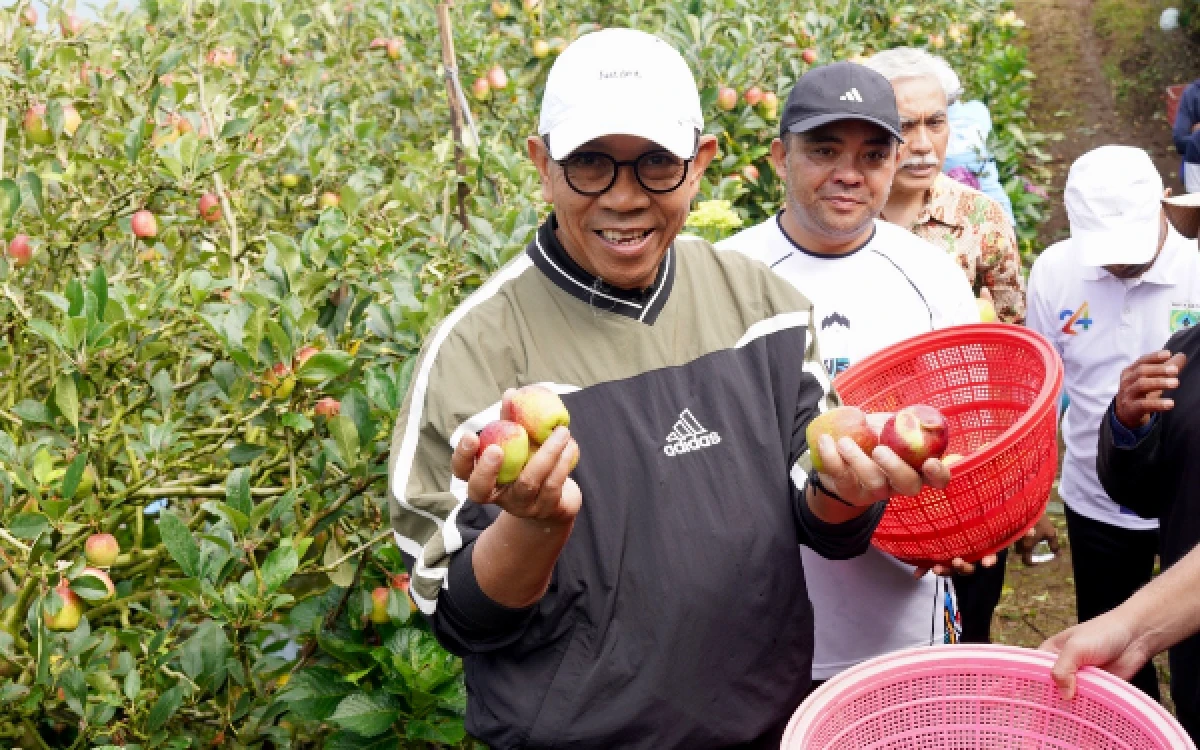 Thumbnail Berita - Selamatkan Ikon Kota Batu! Distan KP Fokus Revitalisasi Kebun Apel