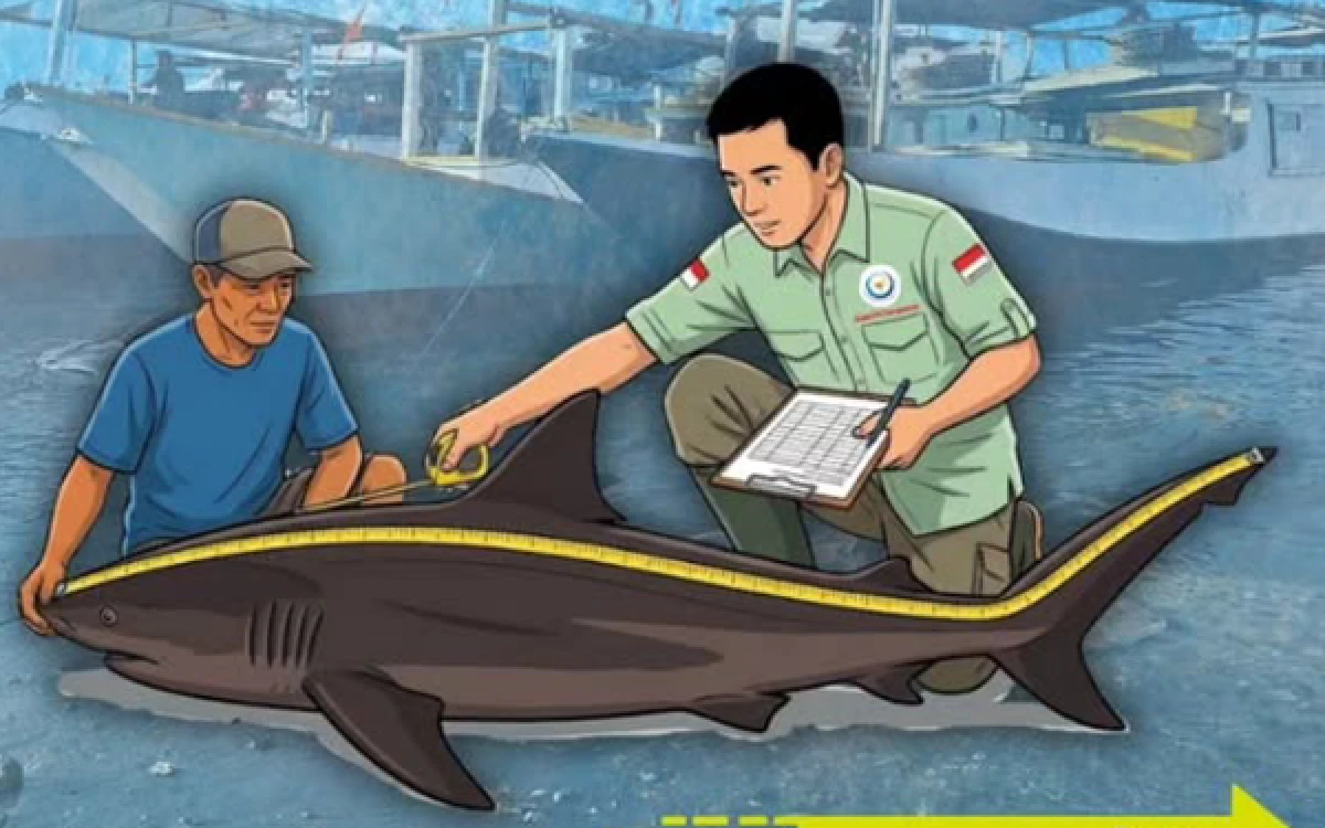 Thumbnail Berita - Balai Pengelolaan Kelautan Denpasar Buka Rekrutmen Enumerator 2026, Cek Syaratnya!