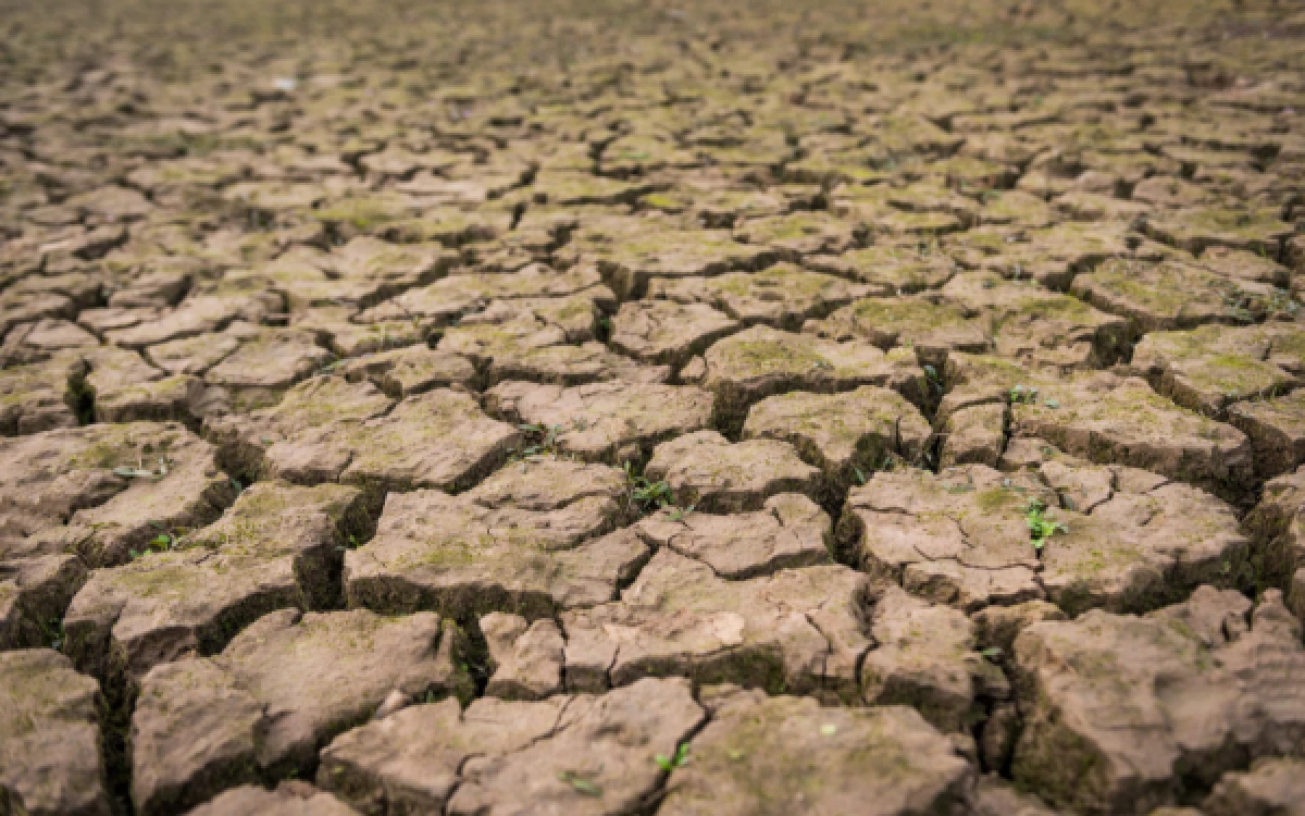 Thumbnail Berita - El Nino Bikin Kemarau Lebih Panjang dan Kering, Ini Penjelasan BMKG Juanda