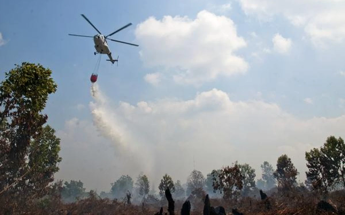 Thumbnail Berita - 52 Pesawat Dikerahkan Tangani Karhutla di Enam Provinsi Sumatra dan Kalimantan