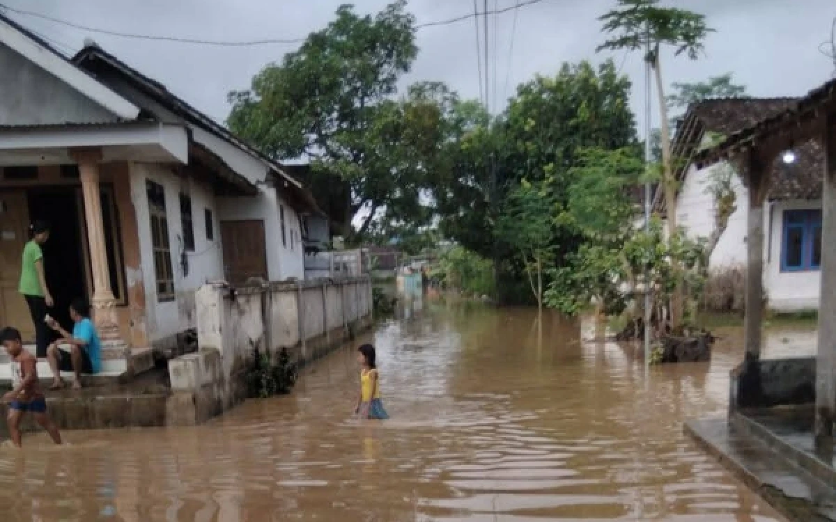 Foto Ratusan rumah warga Dusun Biting Desa Kutorenon Sukodono Lumajang.