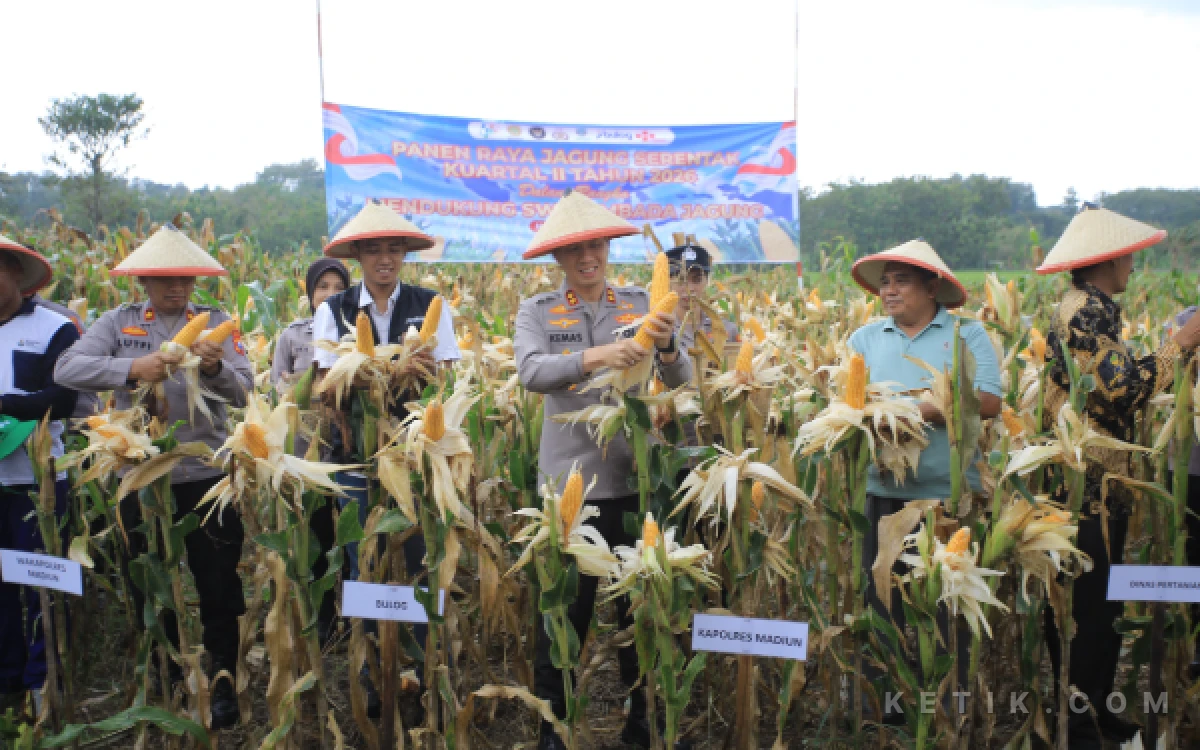 Thumbnail Berita - Dukung Swasembada Pangan, Polres Madiun Gelar Panen Raya Jagung Serentak Kuartal II 2026