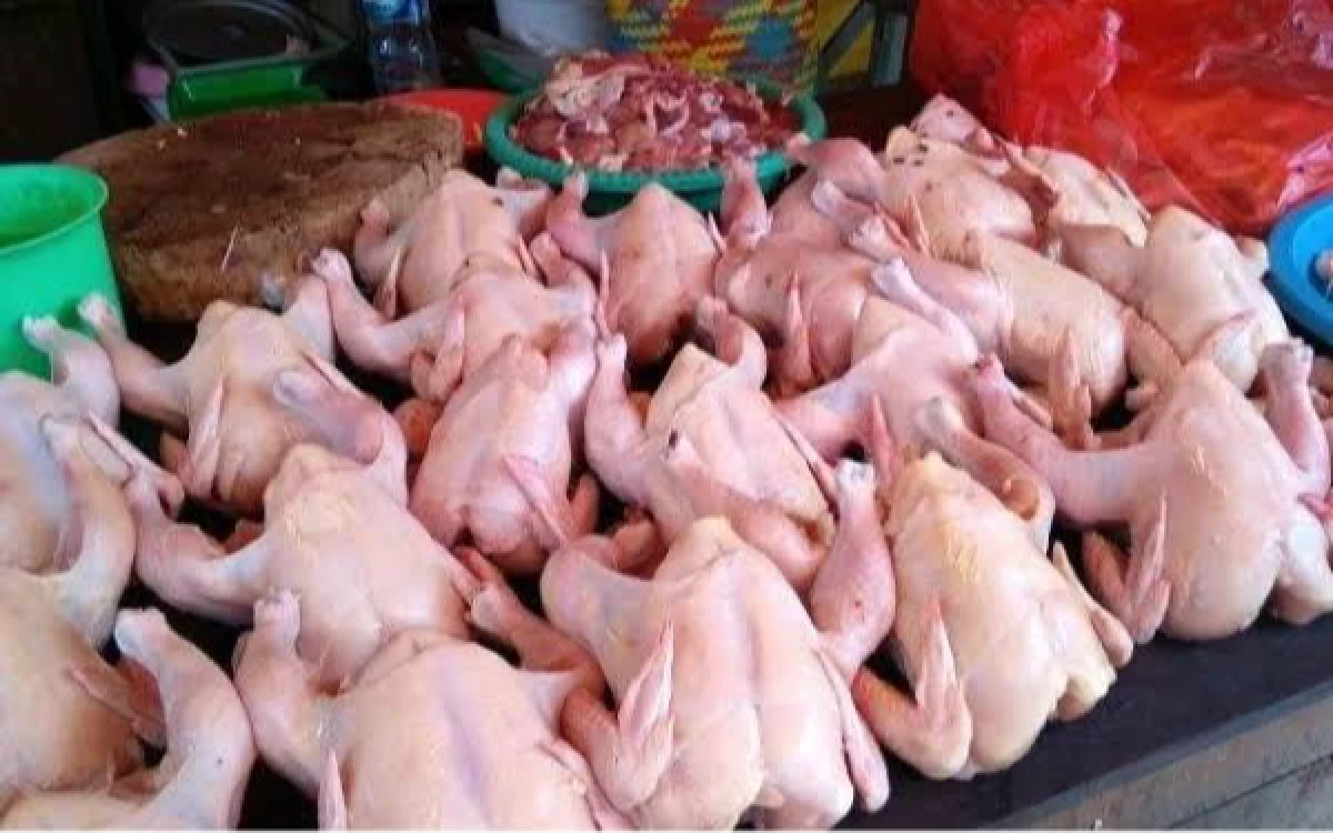 Thumbnail Berita - Harga Daging Ayam di Lebak Tembus Rp40 Ribu per Kilogram, Dinas Peternakan: Kenaikan Terjadi di Rantai Distribusi