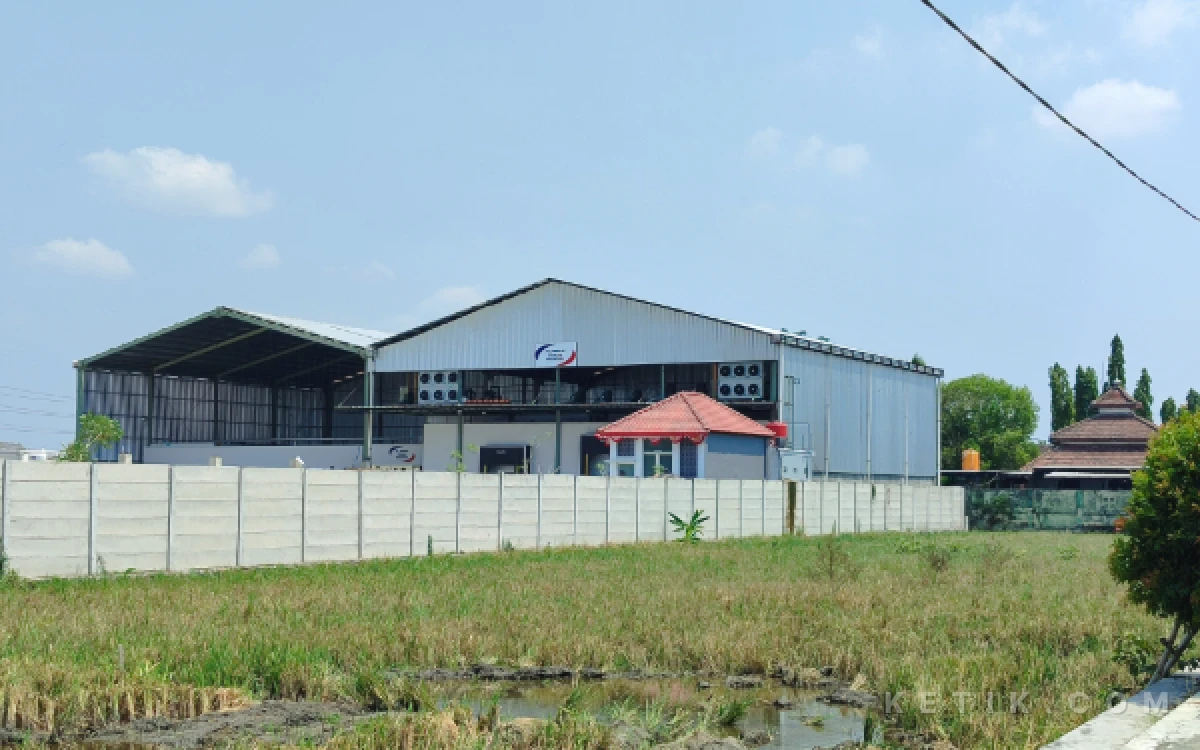 Foto Pabrik pengolahan ayam PT JPN Banjardowo Kabupaten Jombang. (Foto: Syaiful Arif/ketik.com)