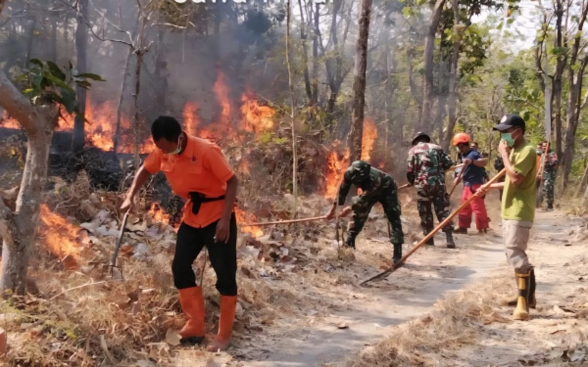 Thumbnail Berita - BNPB Catat Sejumlah Bencana Karhutla di Berbagai Wilayah Indonesia pada 26-27 September 2026