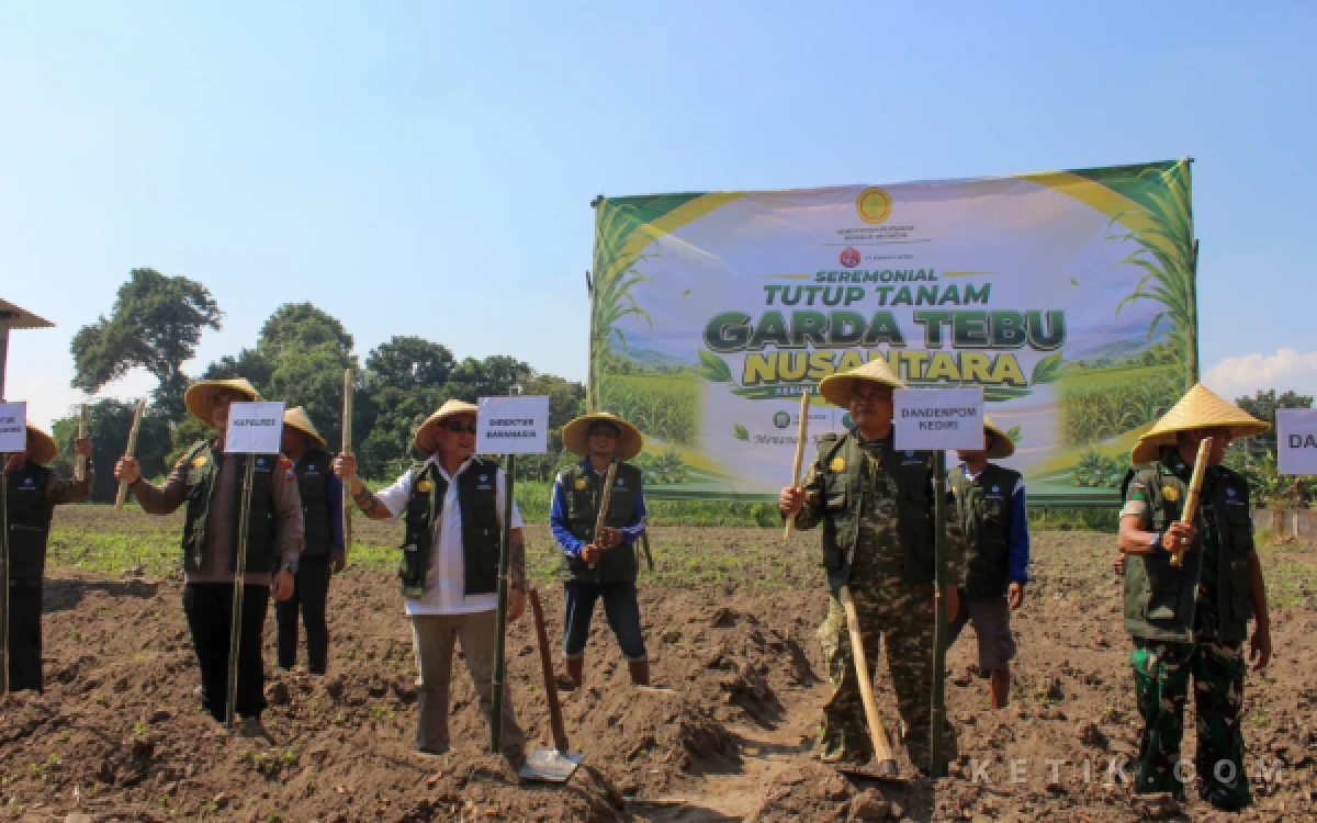 Thumbnail Berita - Kementan Gandeng PT Baranasia Kembangkan Bibit Tebu Unggul Panjalu dari Kediri, Perkuat Target Swasembada Gula Nasional