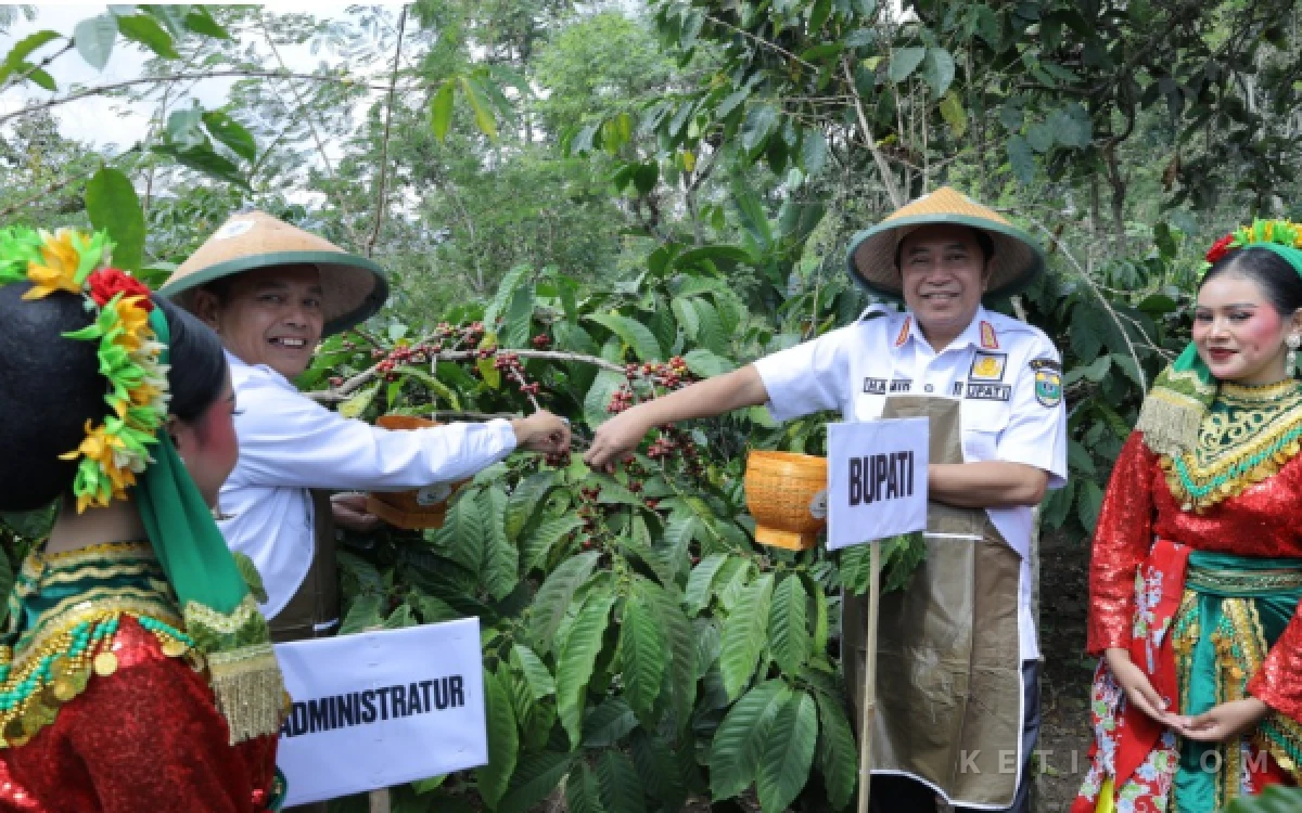 Thumbnail Berita - Bondowoso Bidik Lompatan Ekonomi, Agroforestry Kopi dan Wisata Alam Jadi Andalan Baru