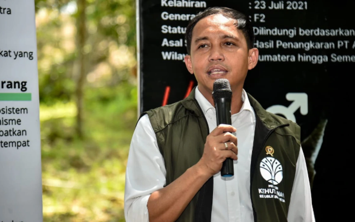 Thumbnail Berita - Sengaja Bakar Hutan untuk Ditanami Sawit, Menhut Raja Juli Tak akan Berikan Izin
