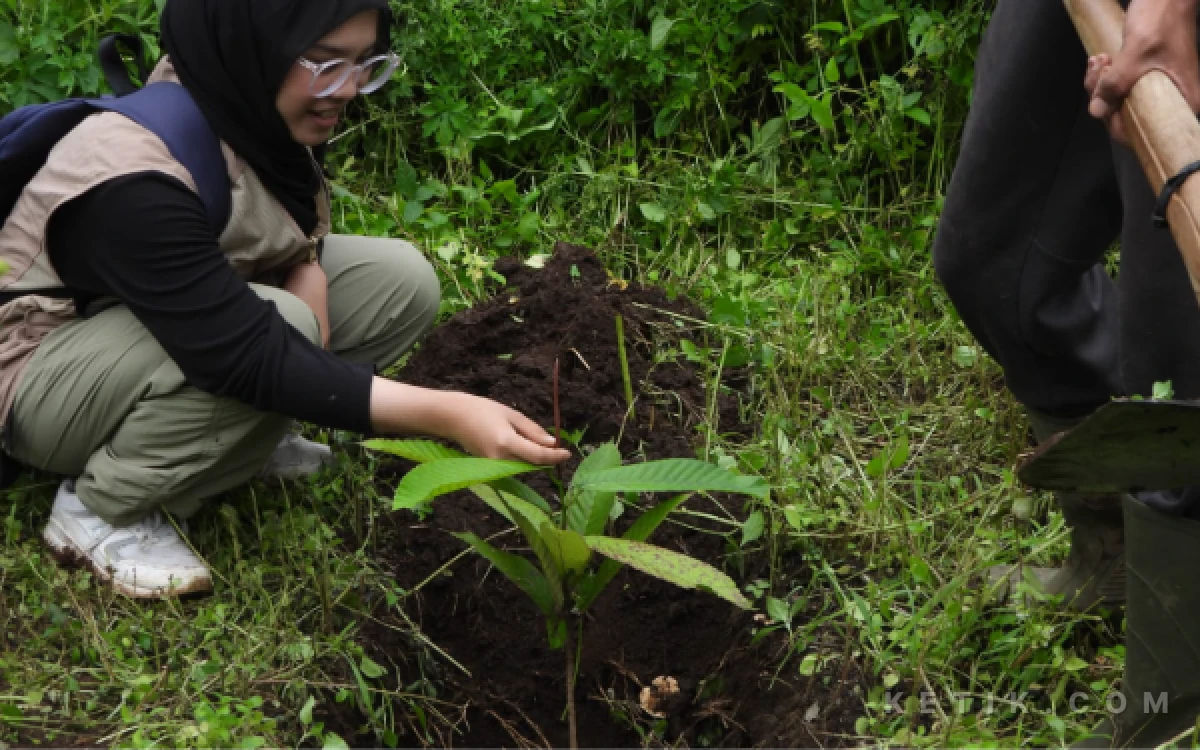 Thumbnail Berita - Tak Banyak Diketahui, Gunung Kawi Menjadi Habitat Keruing Bunga, Pohon Langka Berstatus Terancam Punah