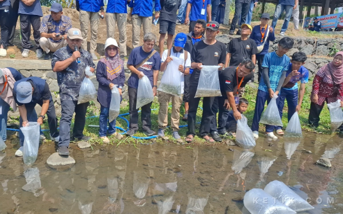 Thumbnail Berita - Ratusan Warga Turun ke Kali, Tebar 50 Kg Ikan hingga Berburu Ikan Invasif di Embung Jetis Suruh