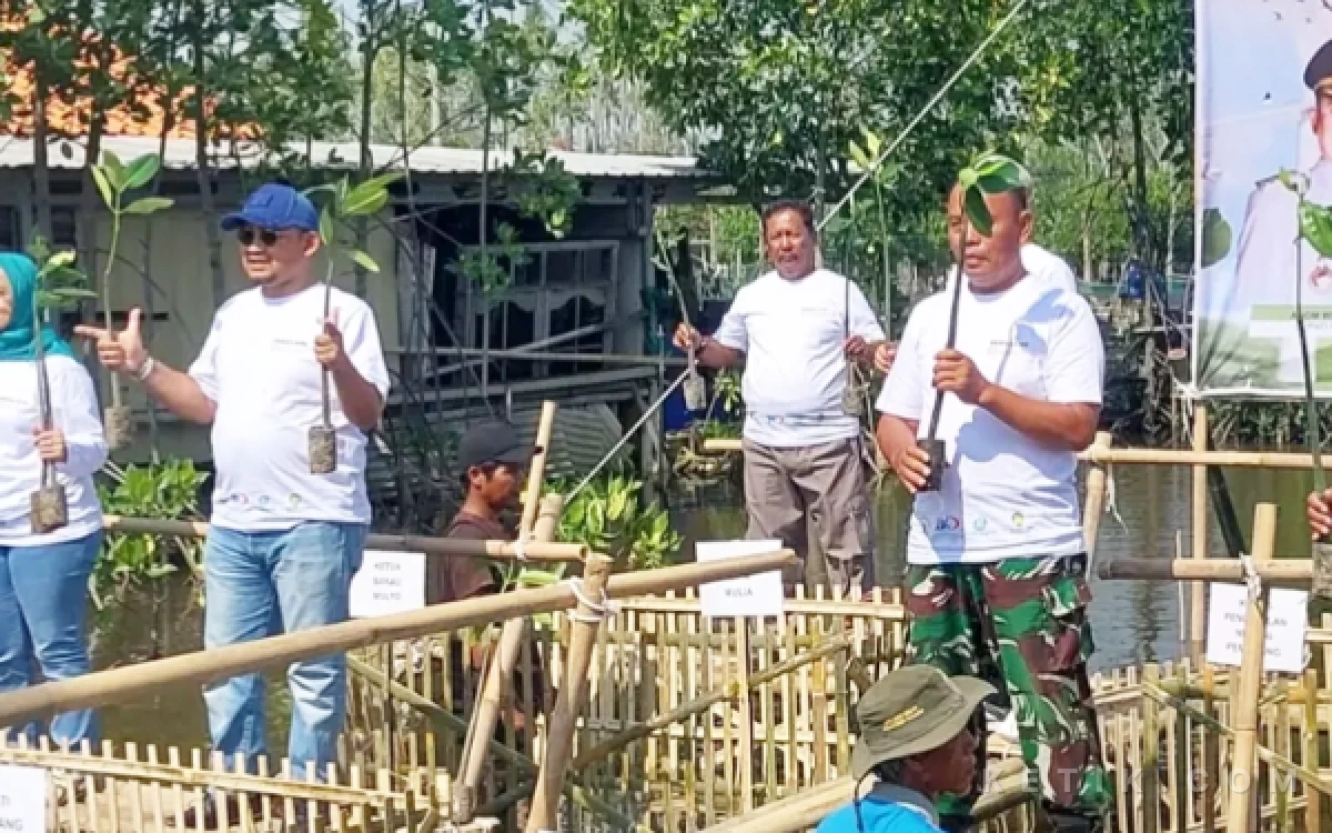 Thumbnail Berita - Bupati Anom Dorong Gerakan Peduli Lingkungan, 3.000 Bibit Mangrove Ditanam di Pesisir Pemalang
