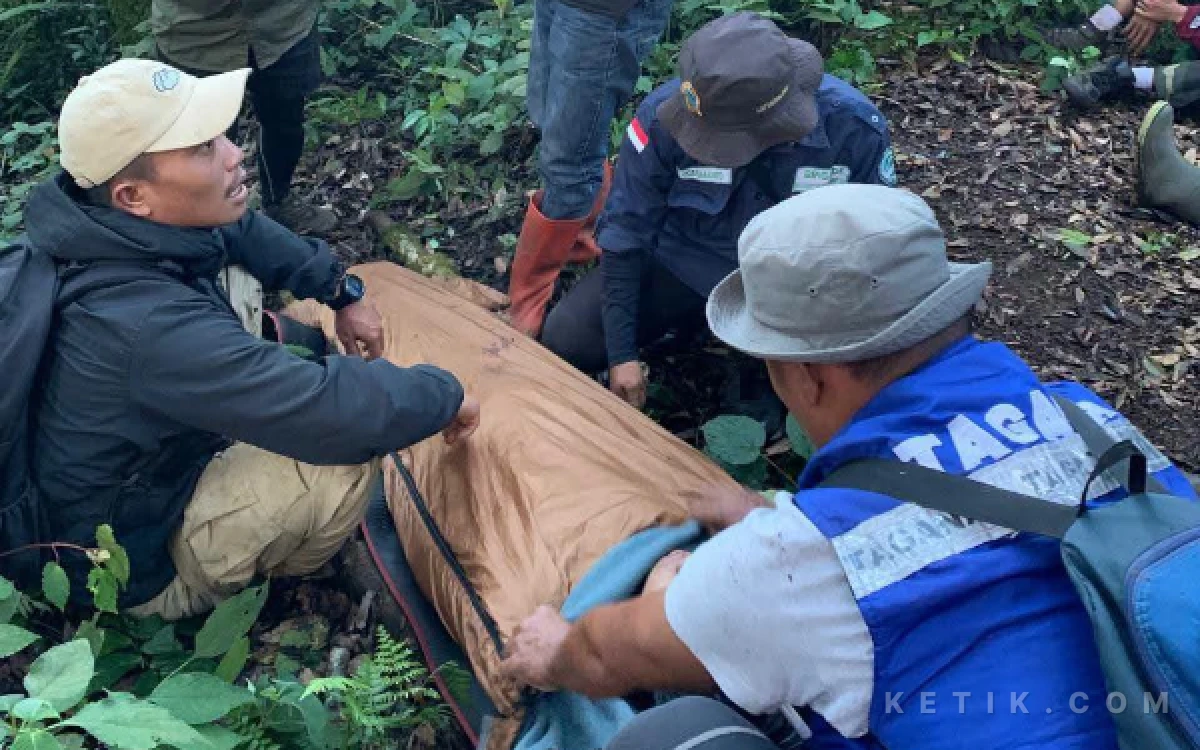 Thumbnail Berita - Pendaki Asal Palembang yang Hilang di Gunung Dempo Ditemukan Selamat