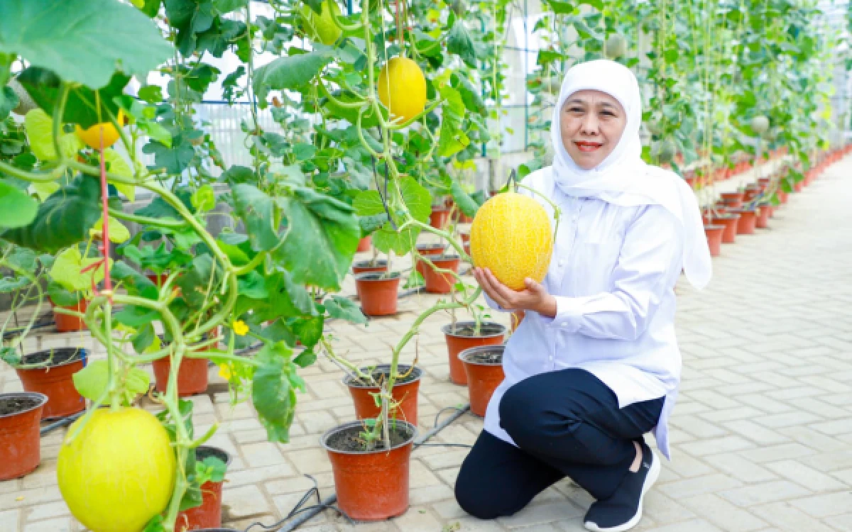 Thumbnail Berita - Dorong Program Sikap Naik Kelas, Gubernur Khofifah Hadiahkan Vacuum Frying untuk SMKN 1 Tulungagung