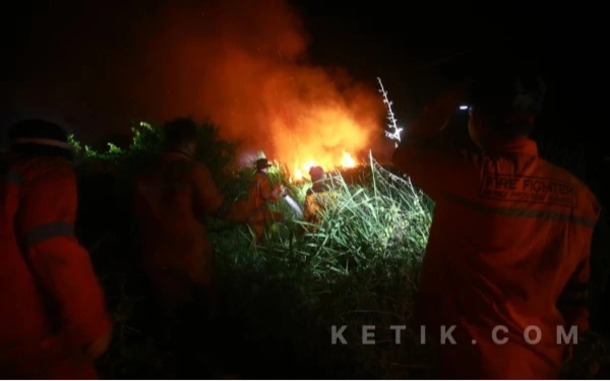 Thumbnail Berita - 356 Perusahaan Diperiksa Terkait Karhutla, Menlh Jumhur Ancam Cabut Izin Korporasi Nakal