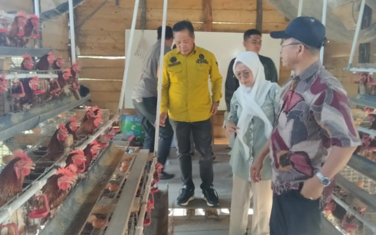 Thumbnail Berita - Tebu dan Ayam Petelur Jadi Sorotan Monev Dana Desa 2026 di Kecamatan Payaraman Ogan Ilir