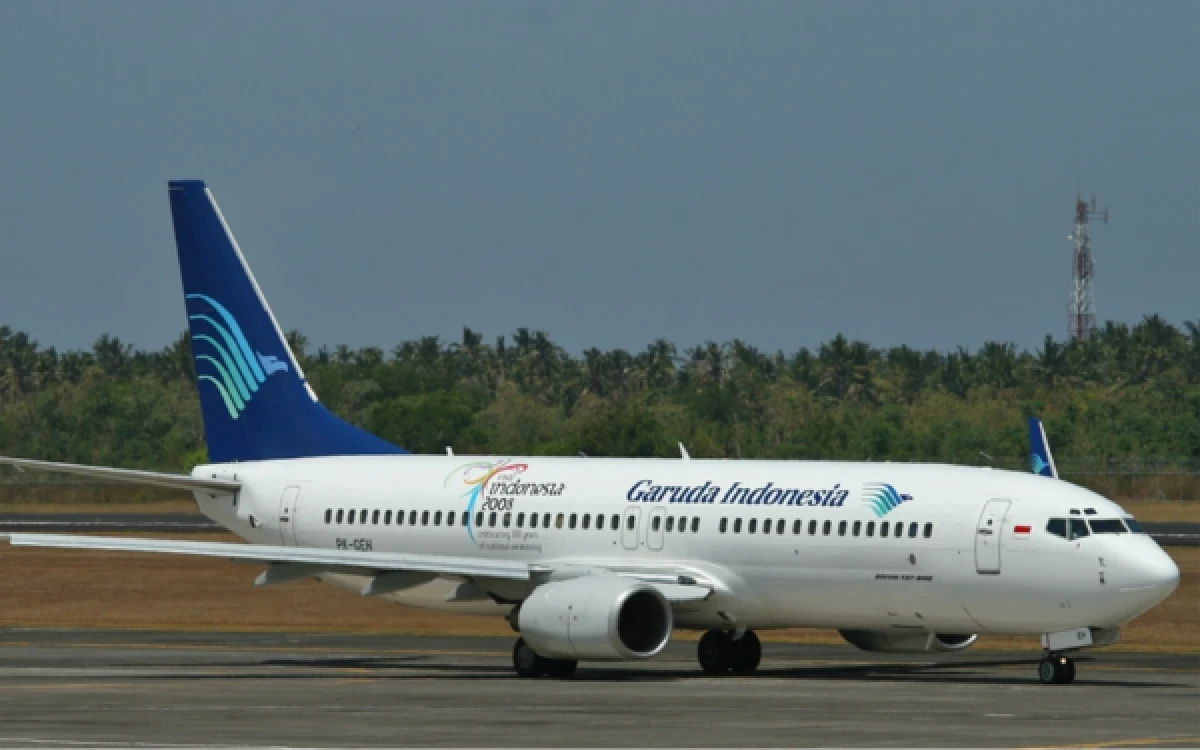 Thumbnail Berita - Pesawat Boeing 737-800 Bakal Mengisi Landasan Bandara Husein