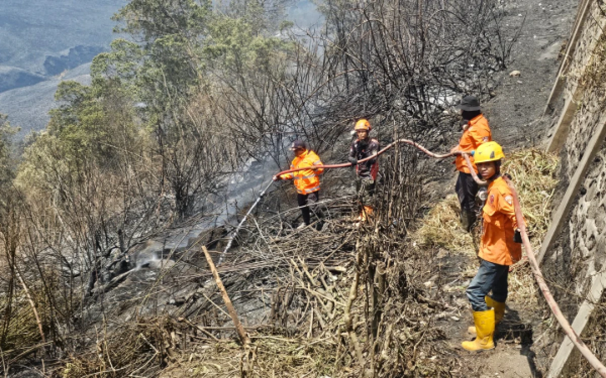 Thumbnail Berita - Ratusan Personel Gabungan Diterjunkan untuk Padamkan Kebakaran Gunung Bromo