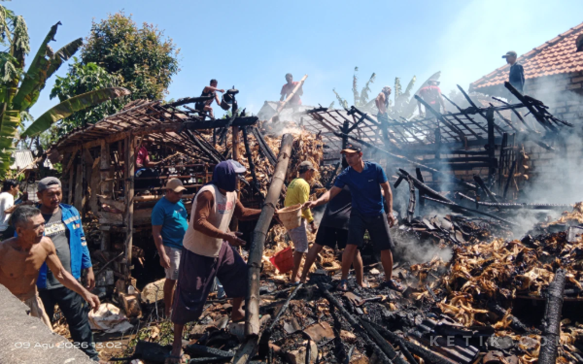 Thumbnail Berita - Kandang Kambing di Pantenan Panceng Gresik Ludes Terbakar, Warga Padamkan Api Pakai Alat Seadanya