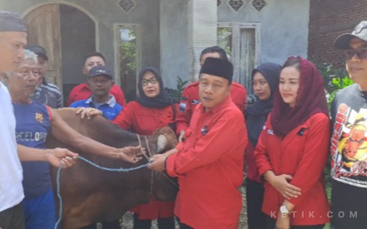 Thumbnail Berita - PDIP Trenggalek Salurkan 5 Sapi Kurban Iduladha 2026