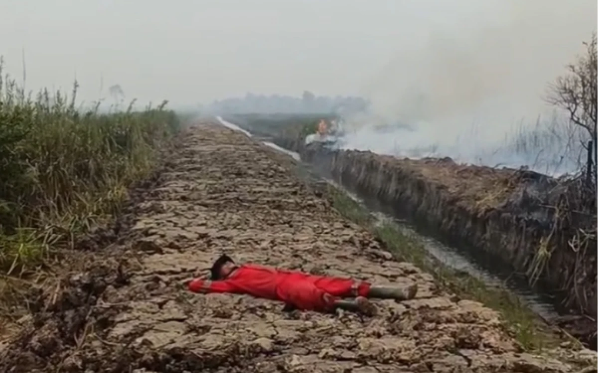 Thumbnail Berita - Asap "Neraka Gambut" Lumpuhkan Palembang, Manggala Agni Bertaruh Nyawa Tumpas Bara Api