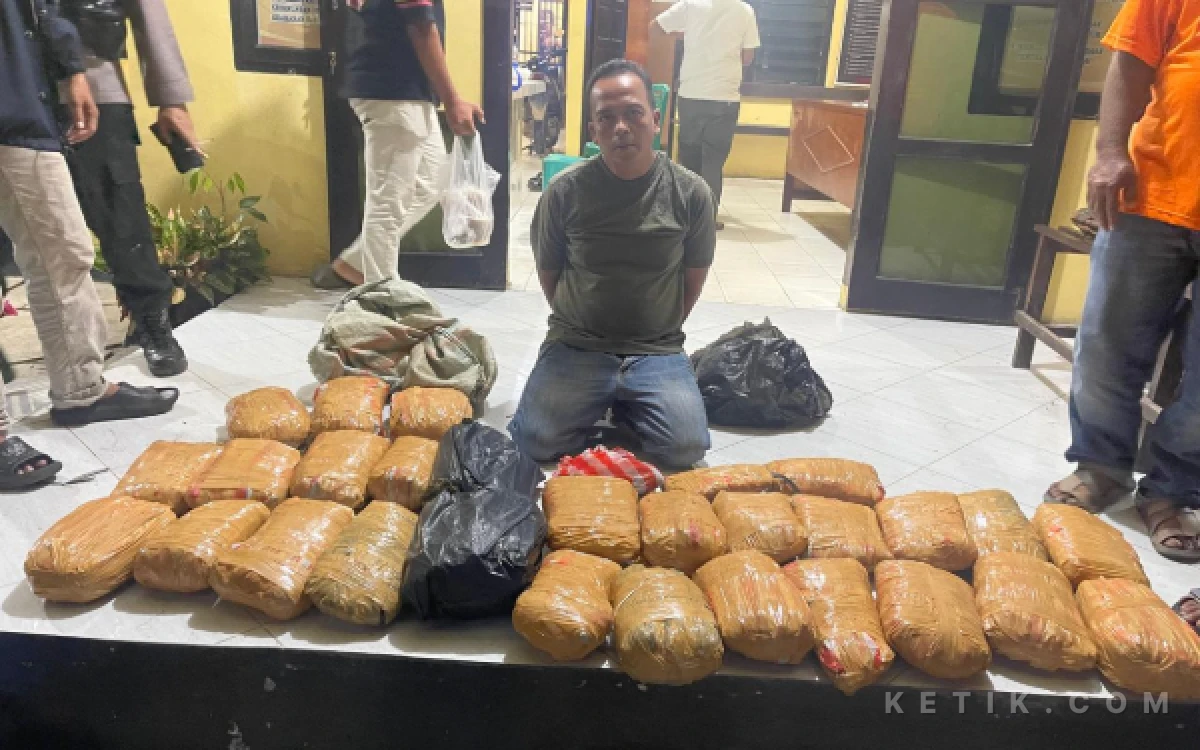Thumbnail Berita - Polisi Gagalkan Penyelundupan 30 Kilogram Ganja di Pasaman Barat, Kurir Dijanjikan Upah 4 Kilogram