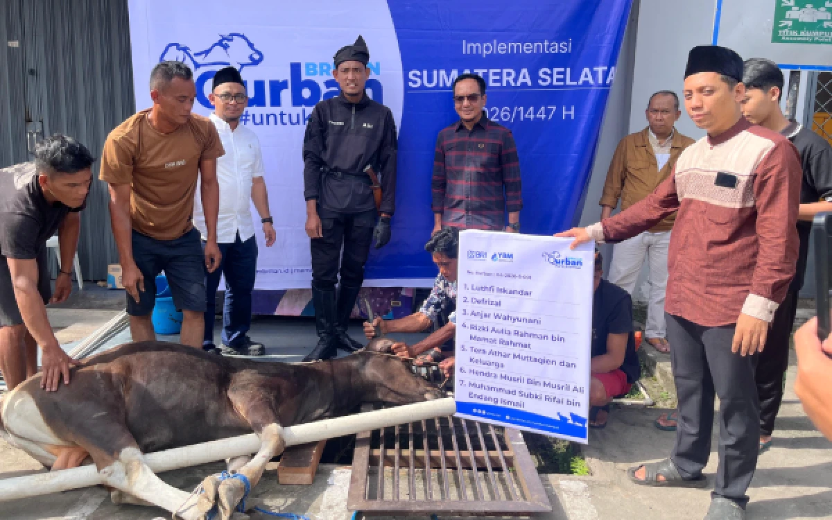 Thumbnail Berita - Semangat Berbagi Iduladha, BRI Region 4 Palembang Salurkan 45 Hewan Kurban untuk Masyarakat Sumsel hingga Bangka