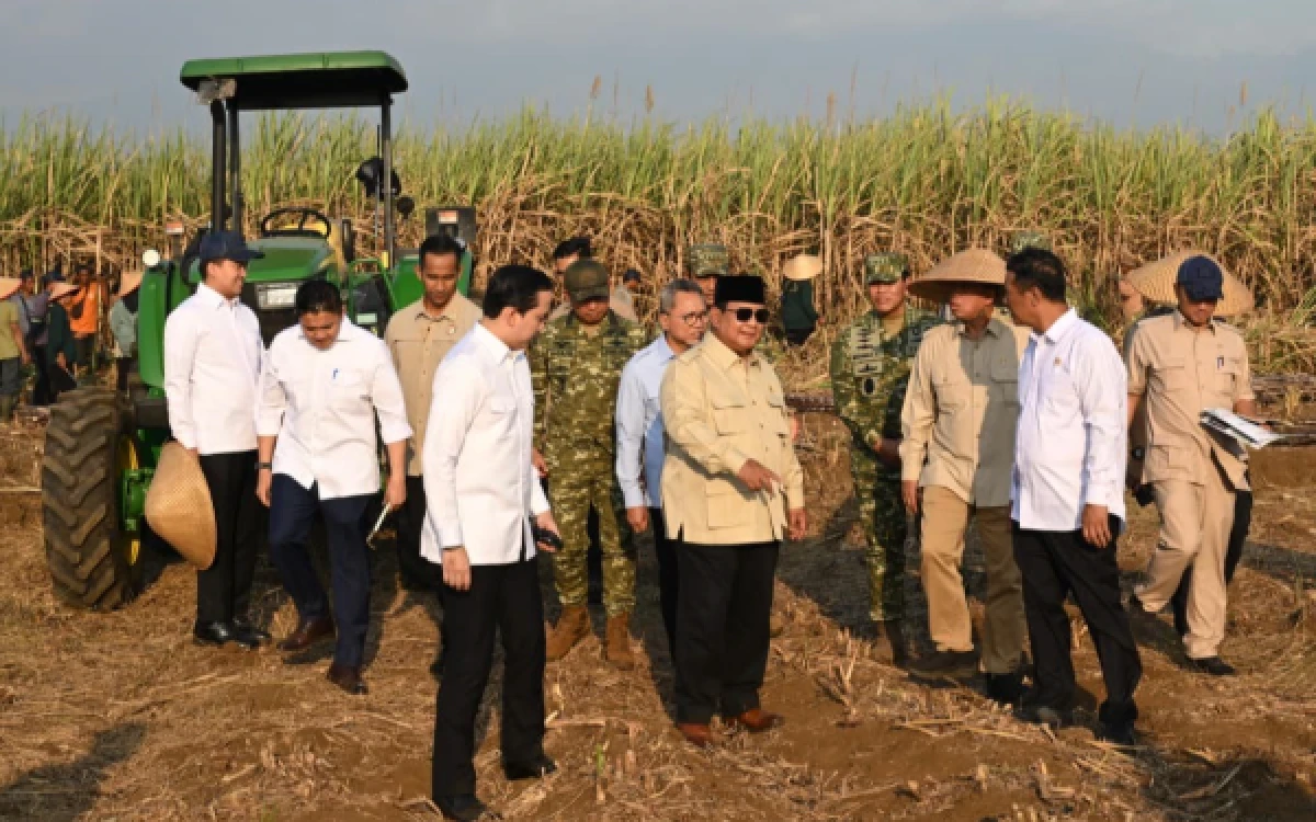 Thumbnail Menteri ATR/BPN Dampingi Presiden Prabowo Panen Raya di Malang