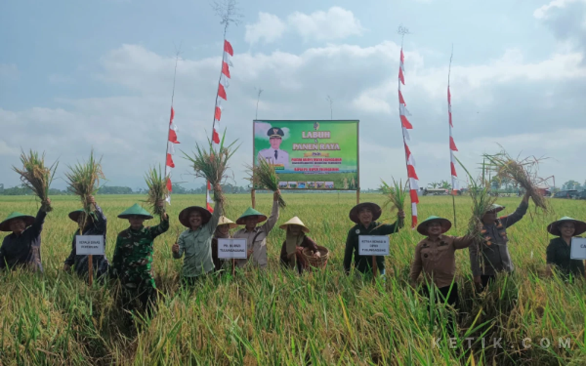 Thumbnail Berita - Panen Raya di Ngunggahan, Resep Tulungagung Jaga Lumbung Pangan dan Suara Nyaring Petani Soal Infrastruktur