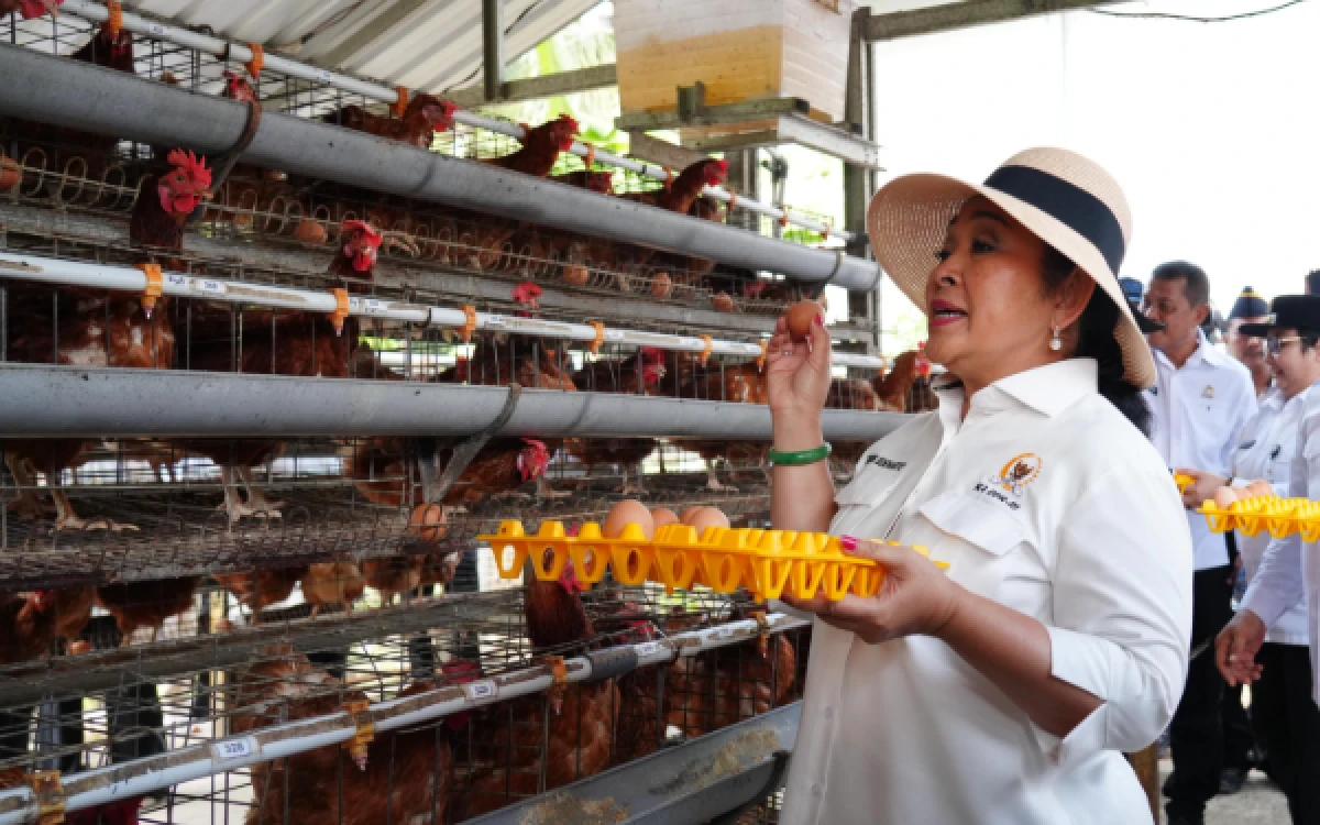Thumbnail Berita - Ketahanan Pangan, Menimipas Minta Lapas-Rutan Sulap Lahan Kosong Jadi Produktif