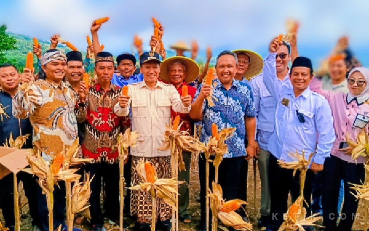 Thumbnail Berita - Panen Raya Jagung di Ngepoh, Plt Bupati Tulungagung Dorong Ketahanan Pangan Berbasis Kelestarian Lingkungan