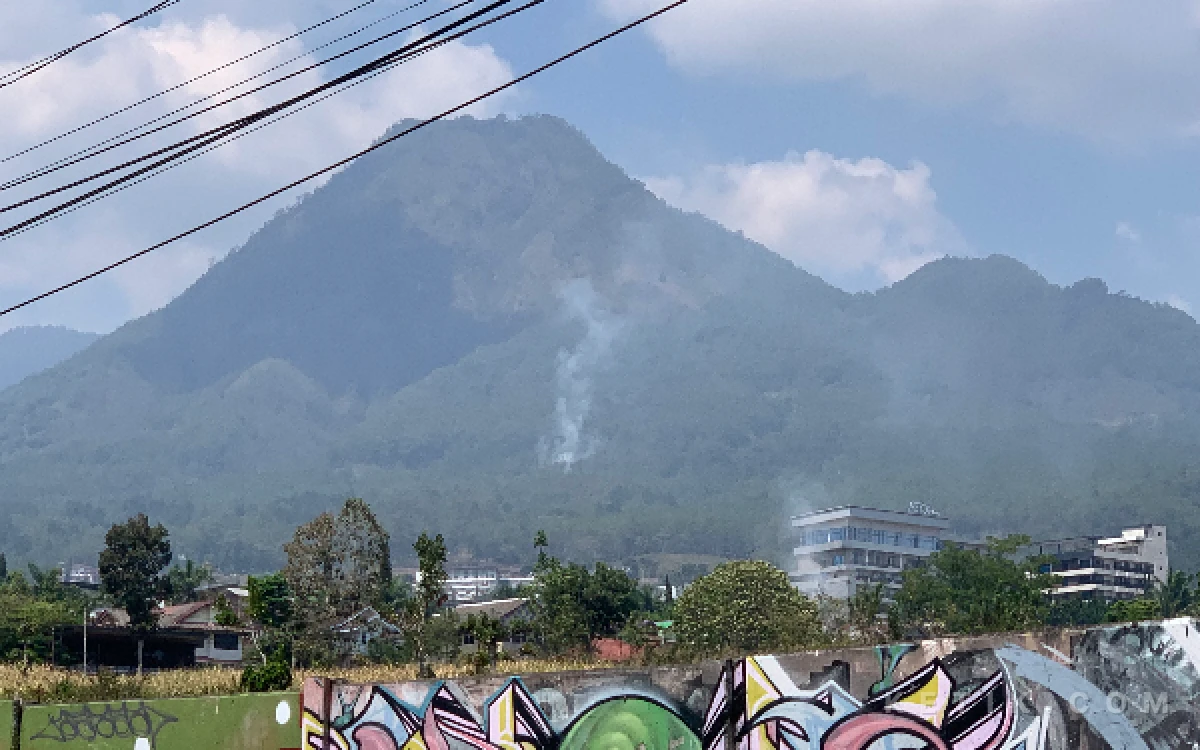 Thumbnail Berita - Kota Batu Dilanda 4 Karhutla dalam Sehari, Ribuan Meter Persegi Lahan Terbakar!
