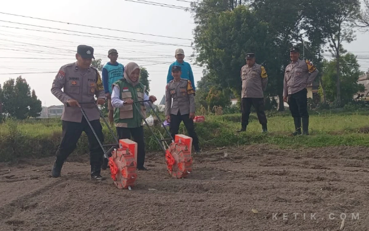 Thumbnail Berita - Polsek Wlingi Blitar Sulap Lahan Kosong Jadi Kebun Jagung, Dorong Ketahanan Pangan dari Desa